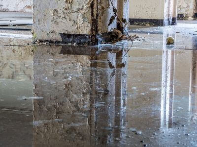 About water damage cleanup - ceiling water damage repair experts in Boca Raton