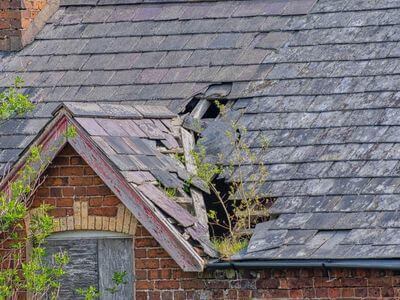 Professional ceiling water damage repair services in Boca Raton - water damage cleanup